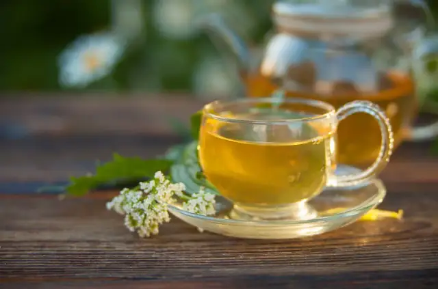 Najskuteczniejsze herbaty na odchudzanie: 7 sprawdzonych rodzajów