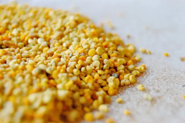 Jak zażywać pyłek pszczeli, aby czerpać z niego maksymalne korzyści