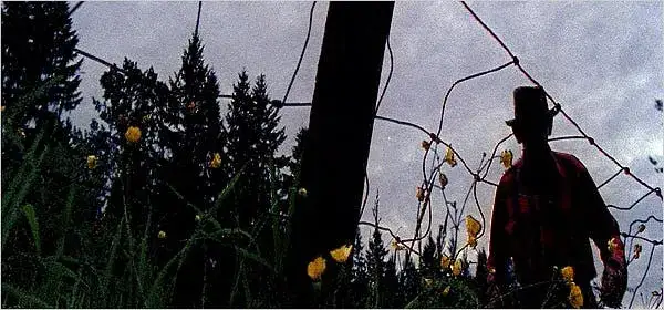 Zoofilia filmy: Jak film 'Zoo' z 2007 roku zmienił postrzeganie zoofilii w mediach