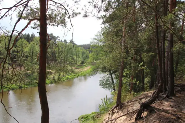 Gdzie kręcono film nad Niemnem? Odkryj niezwykłe lokalizacje filmu