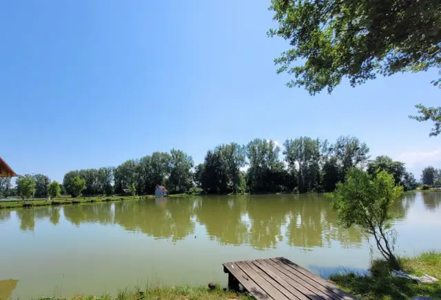Łowisko Bąków - idealne miejsce na wędkarskie przygody i relaks