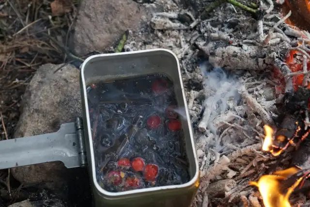 Z jakich roślin można zrobić herbatę? Odkryj nieznane smaki i korzyści