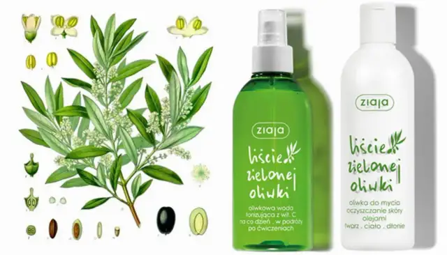 Czy kosmetyki Ziaja są dobre? Odkryj prawdę o ich skuteczności