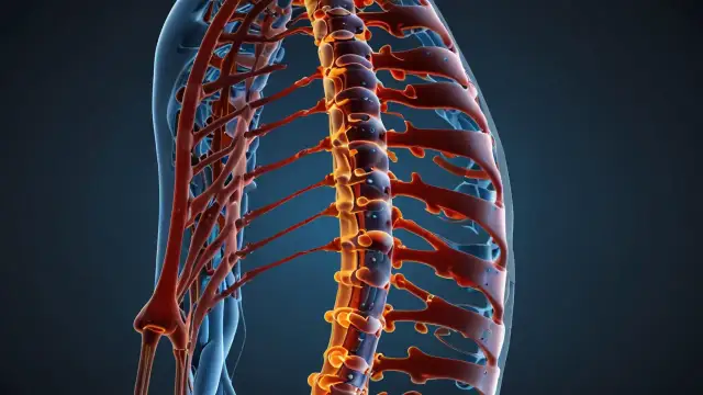 Skolioza 40 stopni: Czy można uniknąć operacji? Najnowsze metody