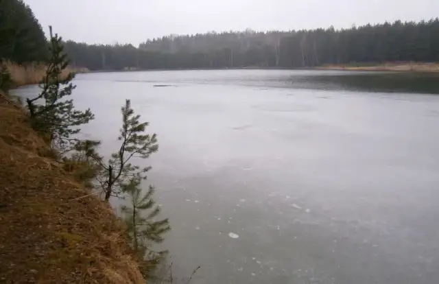 Łowisko Zastawie – sprawdź najlepsze miejsca na wędkowanie i ceny