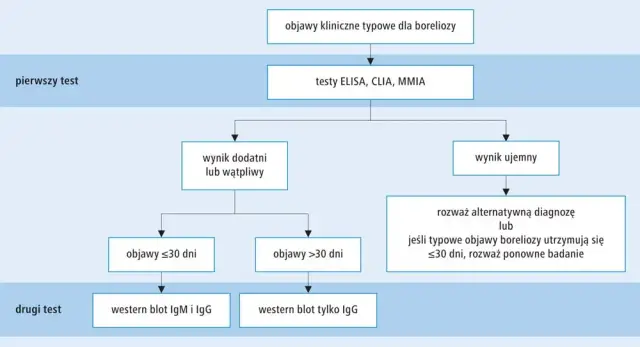 Metoda CLIA: jak działa i dlaczego jest tak ważna w diagnostyce?