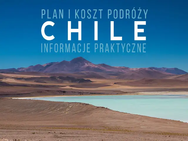 Opieka nad psami w klimacie Chile: co warto wiedzieć przed podróżą