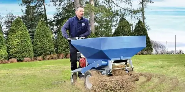 Kiedy piaskować trawnik, aby uniknąć problemów z jego kondycją?