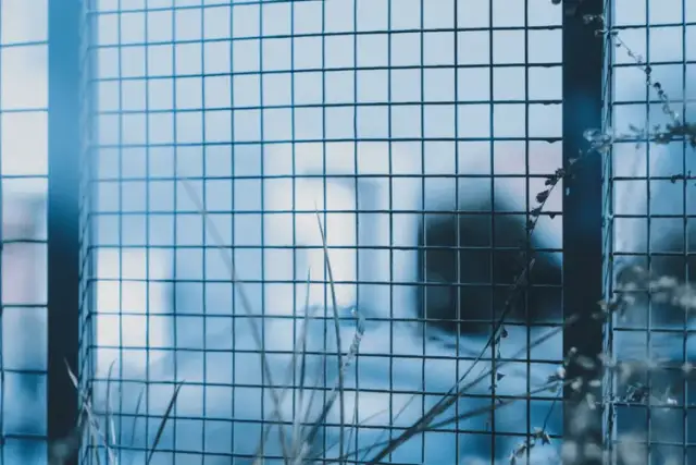 Skuteczne sposoby na to, czym wyczyścić metalowe ogrodzenie