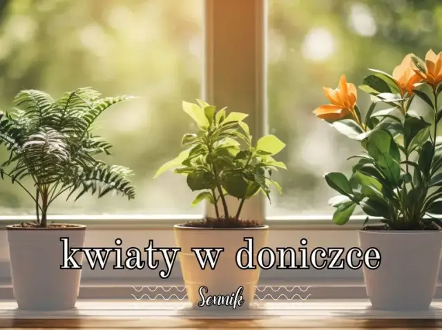 Co oznaczają zielone kwiaty doniczkowe w senniku - pełna interpretacja snu