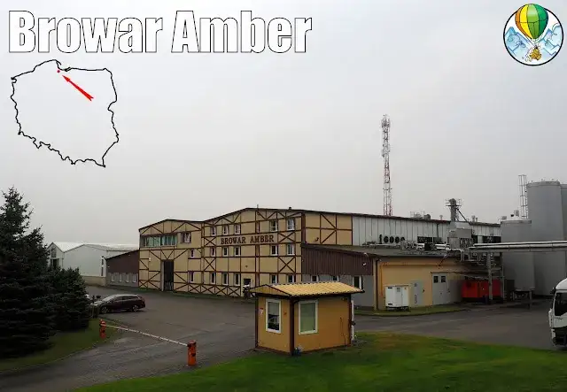 Gdzie kupić piwo złote lwy? Nie trać czasu na szukanie!