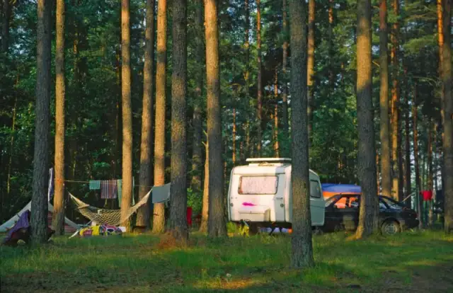 Czy można rozpalić ognisko w lesie? Poznaj ważne przepisy i zasady