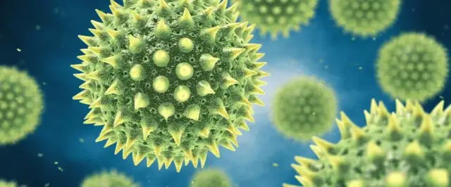 Badanie IgE - co to jest i jak pomaga w diagnozowaniu alergii