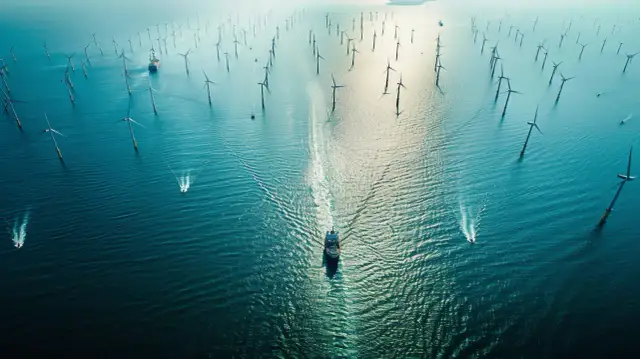 PGE Baltica – Morskie farmy wiatrowe i struktura zarządu PGE Baltica