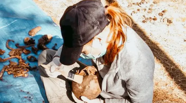 Prawa autorskie a platformy streamingowe - co użytkownik Vider powinien wiedzieć?