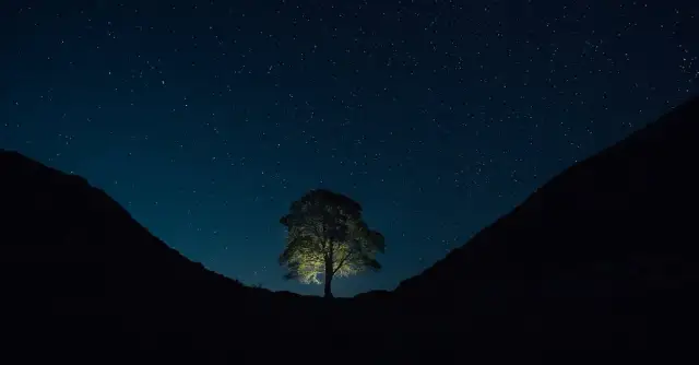 Gwiazdy na niebie vs polskie gwiazdy kina - co łączy?