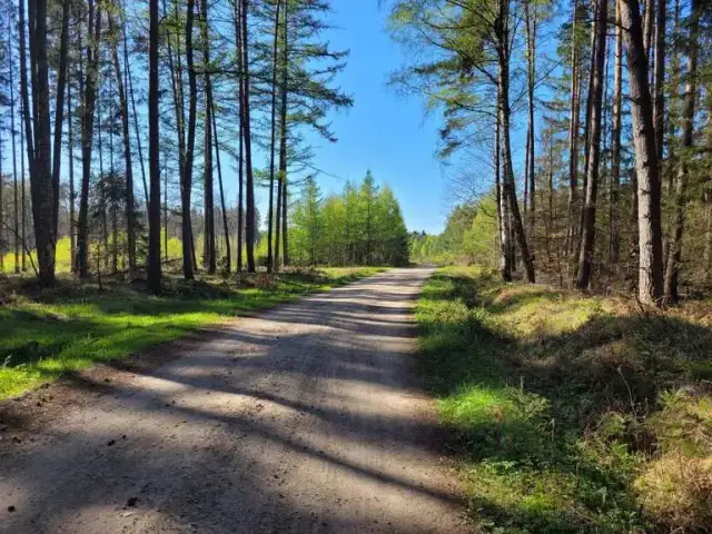Trasy rowerowe Koszalin: Odkryj najlepsze szlaki i uniknij nudy