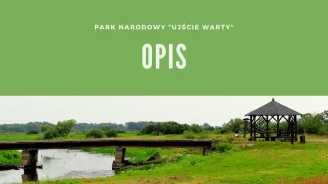 Kiedy powstał park narodowy Ujście Warty? Zaskakujące fakty o jego historii