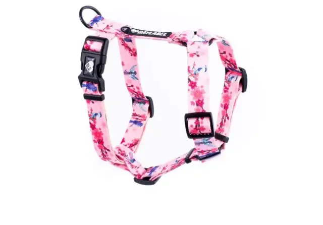 Jak uszyć szelki dla psa, aby zapewnić mu komfort i bezpieczeństwo