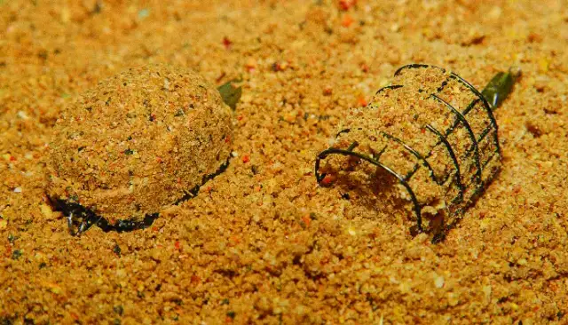 Jak przygotować skuteczną domową zanętę na karpia, aby złowić więcej