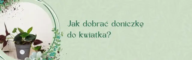 Jak sprawdzić rozmiar doniczki, aby uniknąć błędów przy sadzeniu
