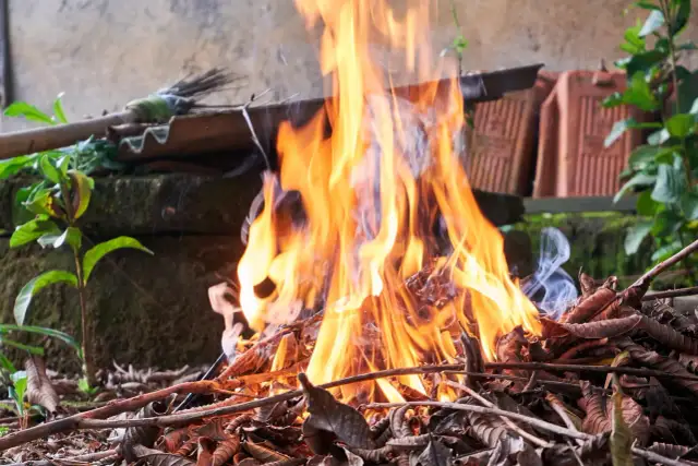 Czy można palić ognisko w ogrodzie? Sprawdź przepisy i zasady bezpieczeństwa