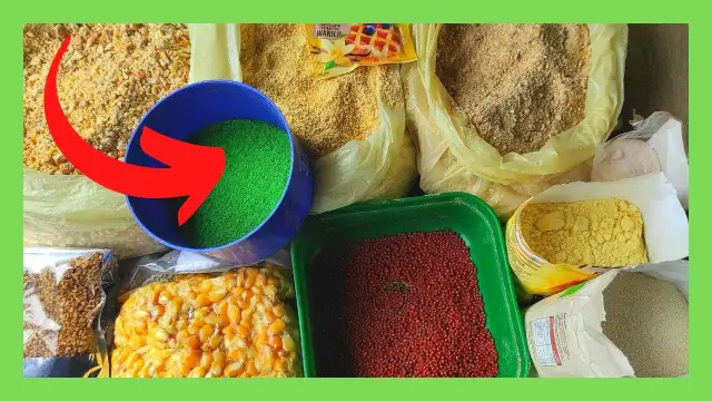 Domowa zanęta na lina i karasia - skuteczne składniki i przepisy