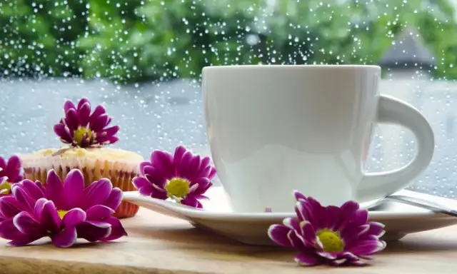 Jak piec muffinki w papierowych foremkach bez błędów i przywierania ciasta