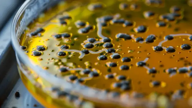 Clostridium - co warto wiedzieć o groźnej bakterii?