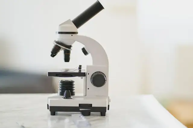 Kto wynalazł mikroskop? Zaskakujące fakty o jego twórcach