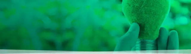 Brykiet czy węgiel do pieca - co wybrać dla lepszego ogrzewania?