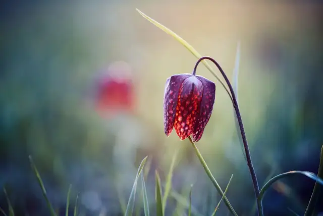 Rezerwat Przyrody Starzawa: co warto wiedzieć przed wizytą i jak uniknąć błędów