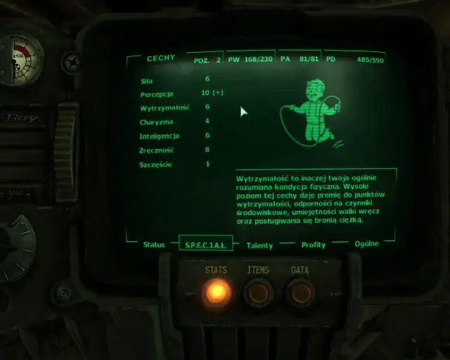 Spolszczenie Fallout 3: Jak bez problemu dodać polski dubbing do kultowej gry