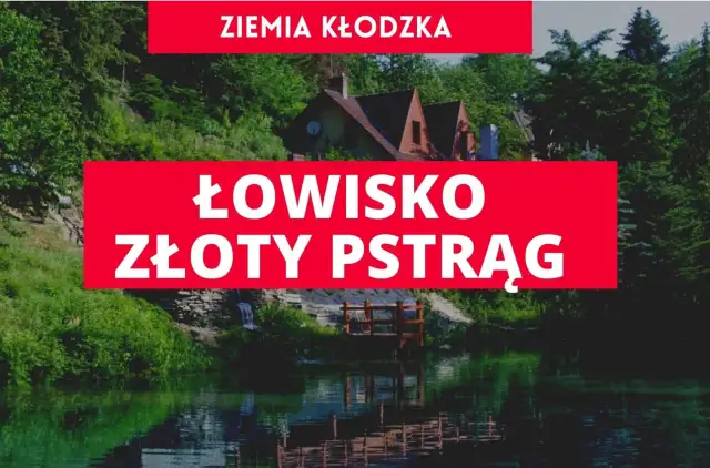 Łowisko Złoty Pstrąg – idealne miejsce na wędkowanie z rodziną