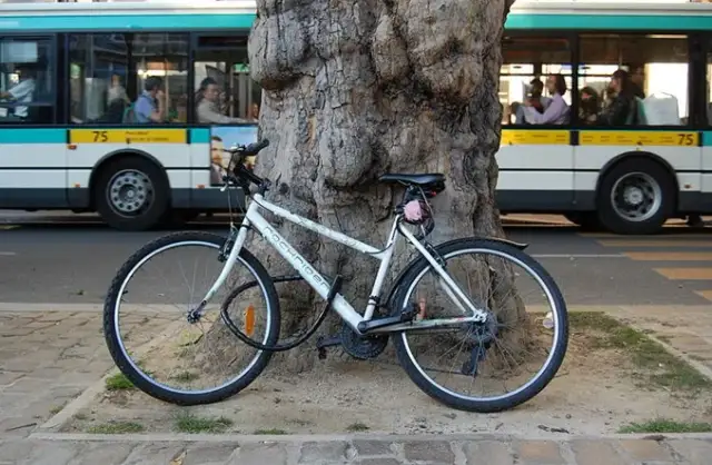 Czy można przewieźć rower autobusem PKS? Zasady i wskazówki podróży