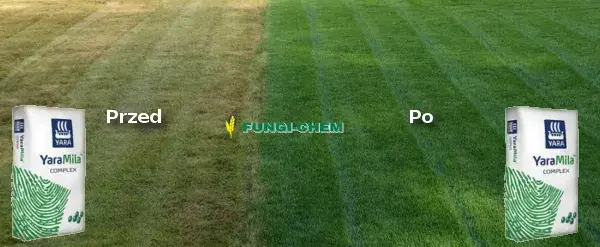 Kiedy stosować nawóz YaraMila Complex, aby rośliny rosły zdrowo?