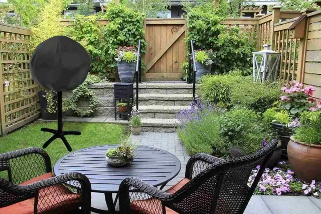 Los mejores arbustos de exterior resistentes al frío y calor para tu jardín