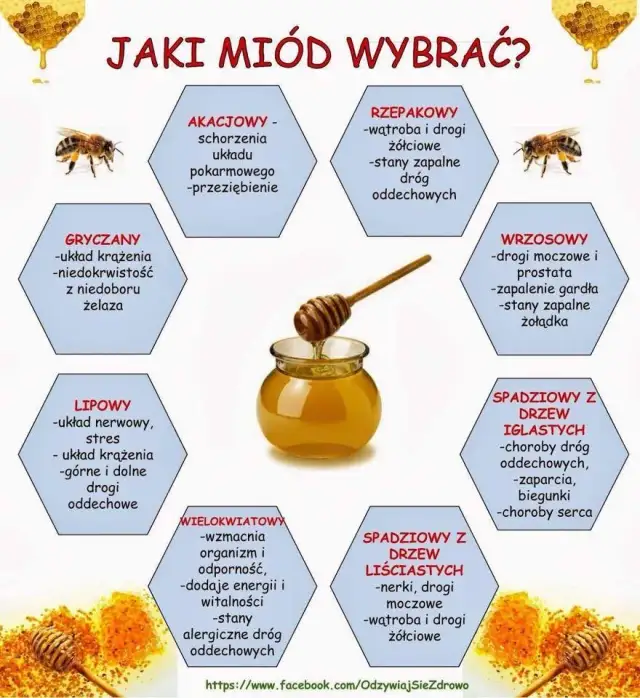 Który miód jest najzdrowszy? Porównanie właściwości i korzyści dla zdrowia