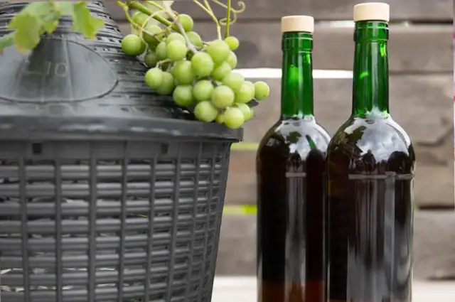 Jak zrobić wino z winogron - proste kroki, by uniknąć błędów
