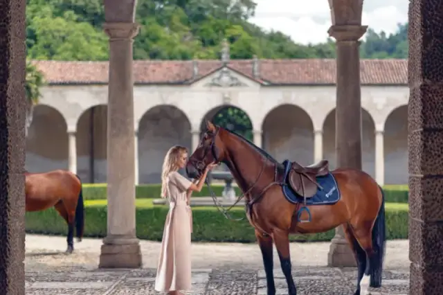 Jak wygląda siodło? Odkryj tajemnice jego budowy i wyglądu