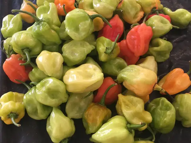 Rankingi produktów w Meksyku: co warto kupić