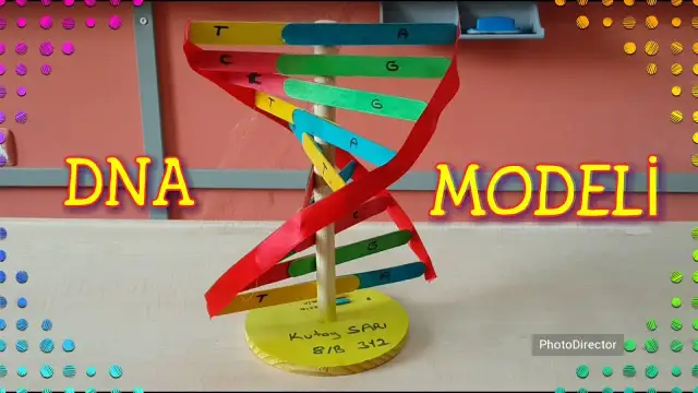 Jak zrobić DNA na biologie - proste kroki do udanego modelu
