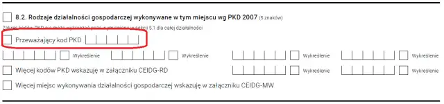 Ile kodów PKD w CEIDG? Unikaj błędów przy rejestracji firmy
