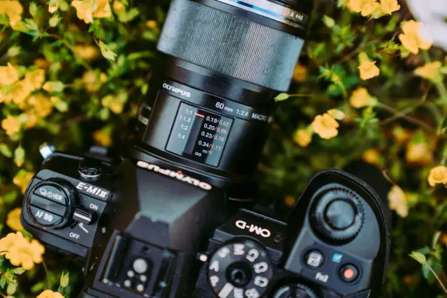Najlepsze obiektywy makro – jak nie przepłacić i zrobić oszałamiające zdjęcia