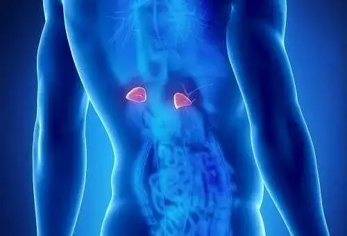 Badanie kortyzolu co to jest i dlaczego warto je wykonać