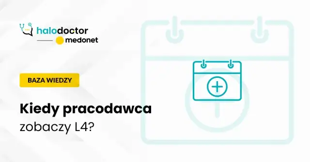 Czy nowy pracodawca widzi poprzednie l4? Oto, co musisz wiedzieć