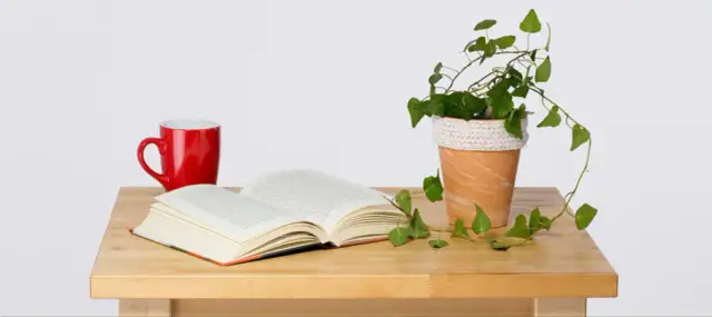 Stwórz piękną doniczkę boho DIY, która odmieni Twój dom