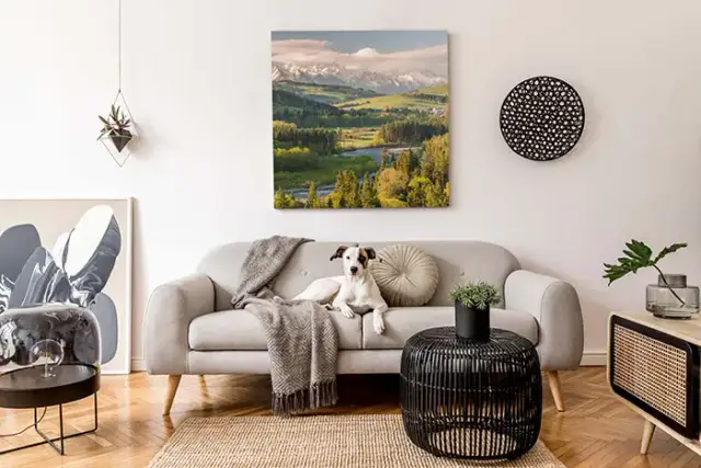 Jak dobrać obraz do salonu, by zachwycał i harmonizował z wnętrzem