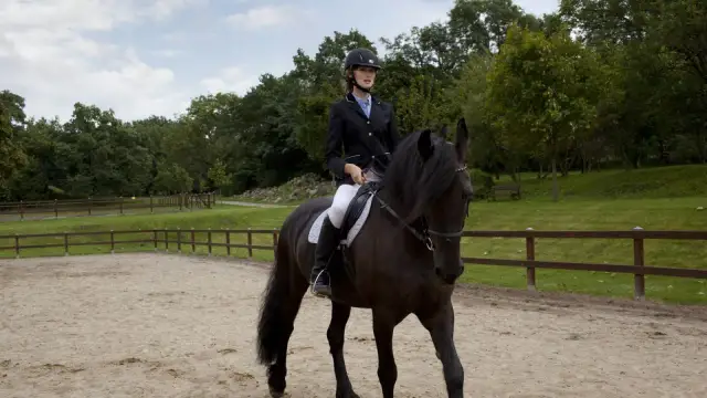 Stadnina koni Kurki - najlepsze jazdy konne i hipoterapia w regionie