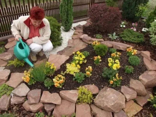 Jak urządzić skalniak: proste kroki, by stworzyć piękny ogród bez błędów